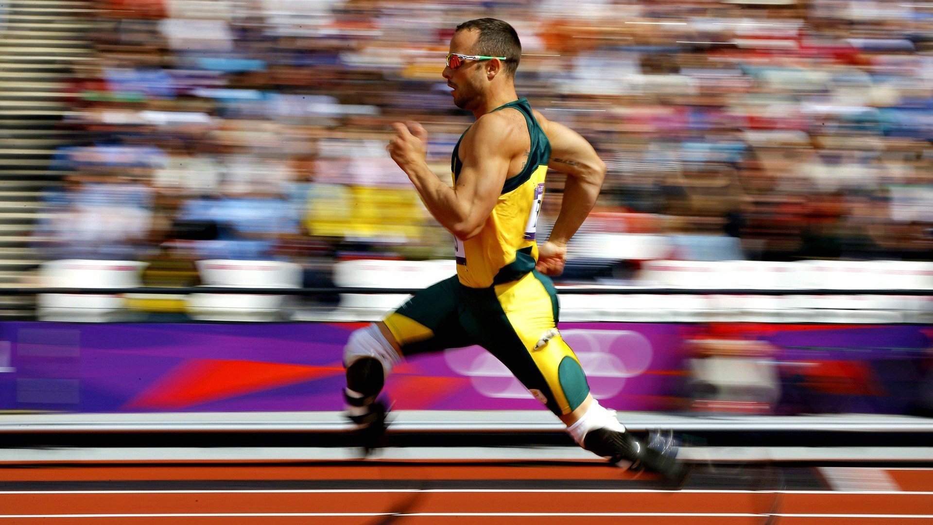 体育新闻中心新星爆发关注，体育新闻f1